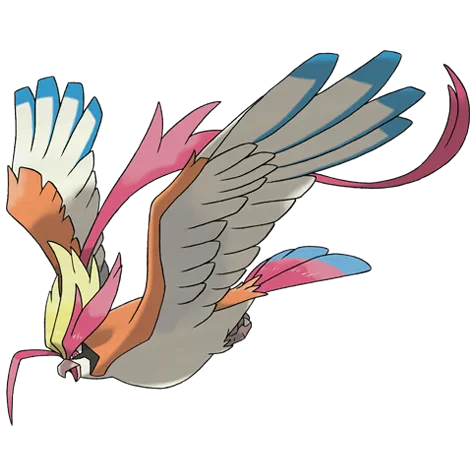 Mega Pidgeot