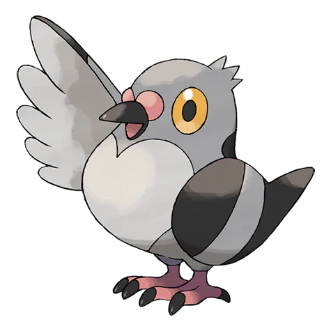 Poichigeon